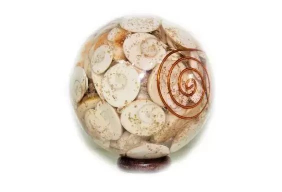 Gomti Chakra